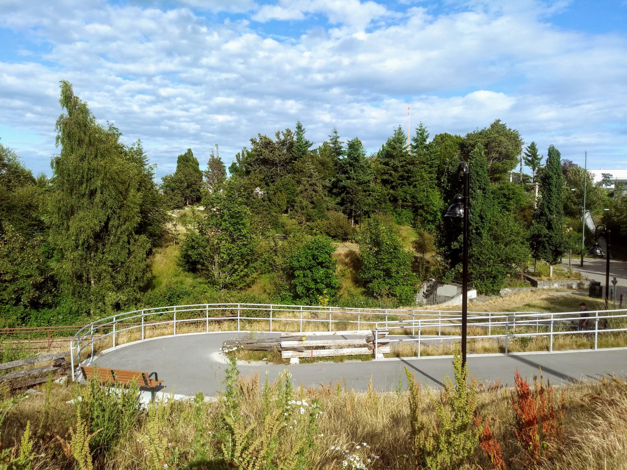 Cecelia Ravine Park Burnside Community Association